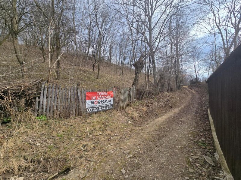 Cerasu, Prahova Oportunitate investitie teren  3.485 mp View spectaculos